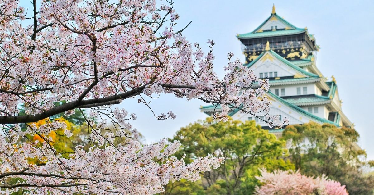 Japan Cherry Blossom Season Forecast 2024