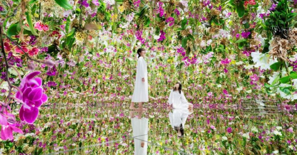 teamLab SuperNature Macao: A Revolutionary Art Experience teamLab SuperNature Macao - Floating Flower Garden
