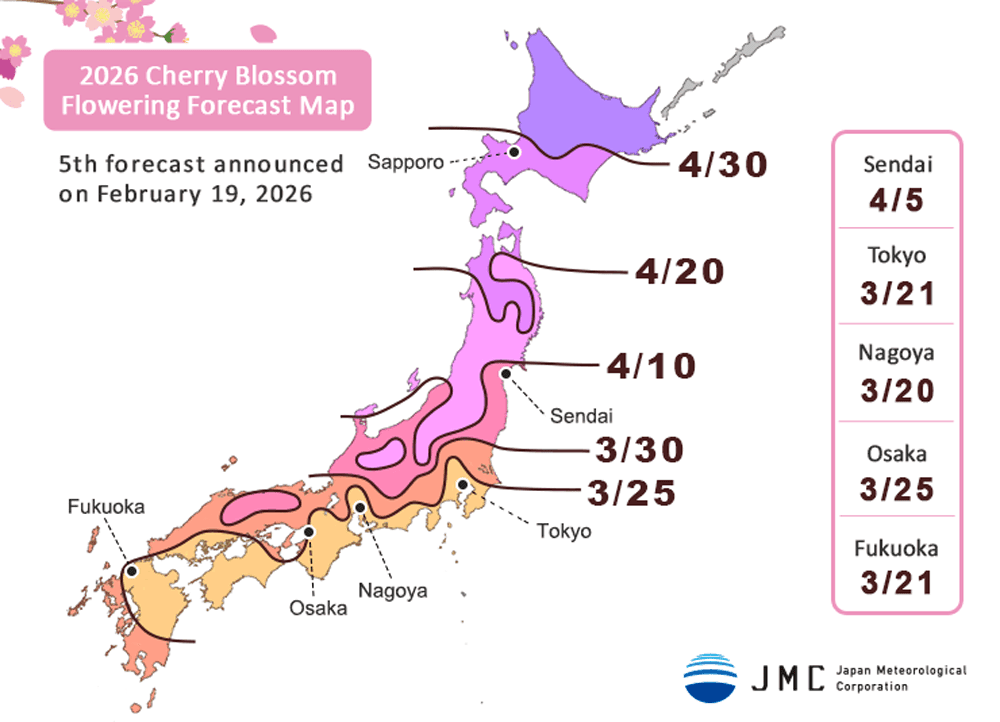 Cherry Blossom Flowering Forecast 2026