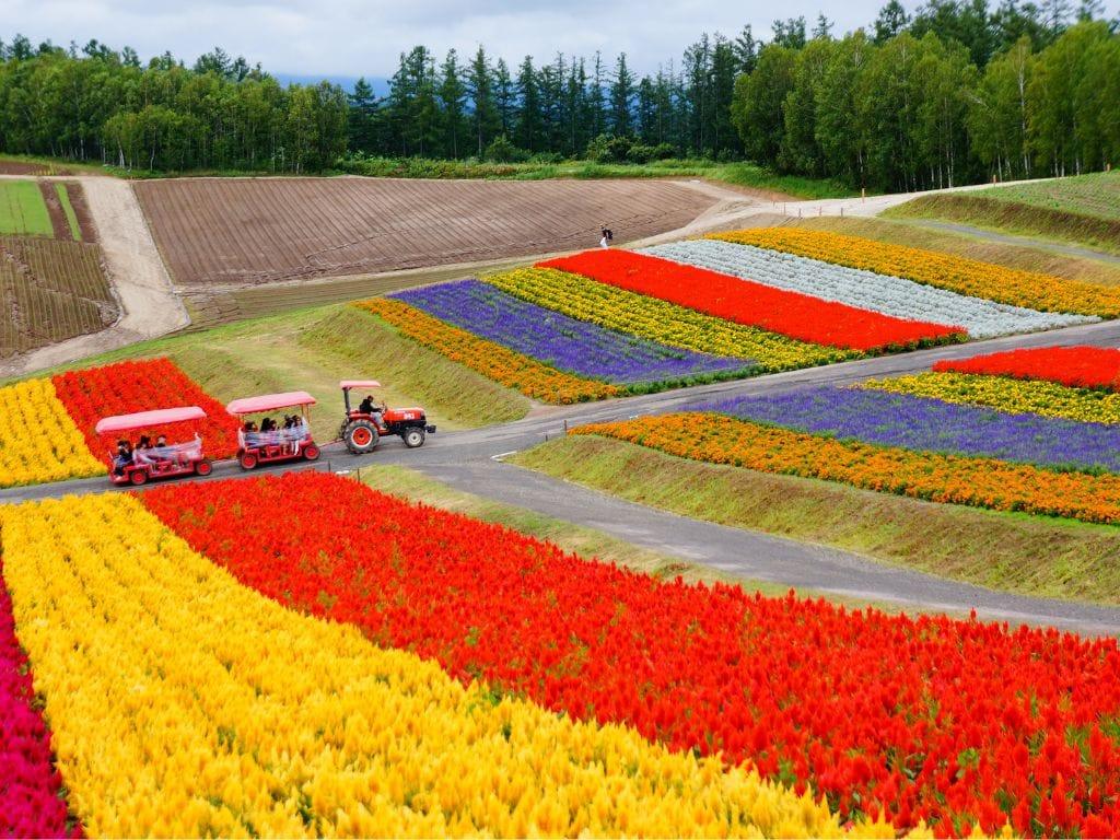 Pengangkutan Peribadi Hokkaido Pemindahan Peribadi Hokkaido Furano