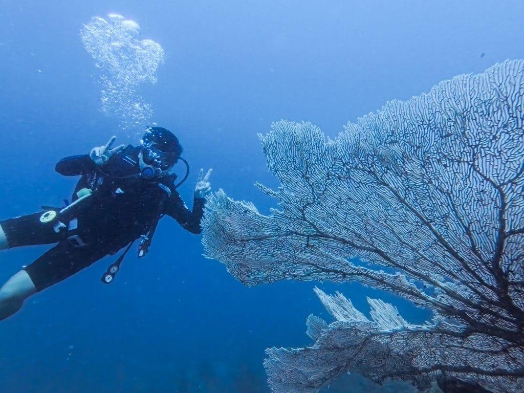 Redang Beach Resort Redang Beach Resort Scuba Diving