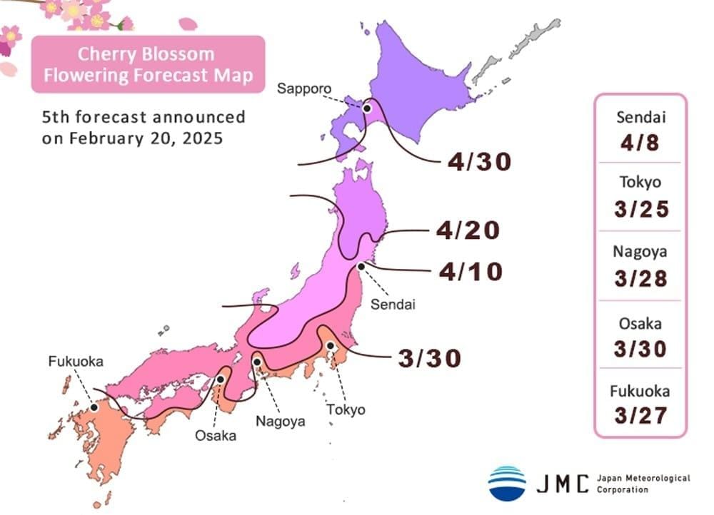 Japan Cherry Blossom Season 2025 Japan Cherry Blossom Forecast