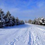 Thing To Do After Club Med Hokkaido - Winter Scene