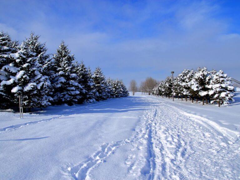 Things to Do After Club Med Hokkaido: 5-Day Itinerary Ideas Thing To Do After Club Med Hokkaido - Winter Scene