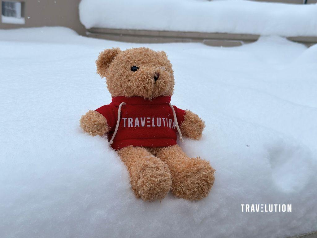Club Med Early Bird - Travelution Holidays Bear