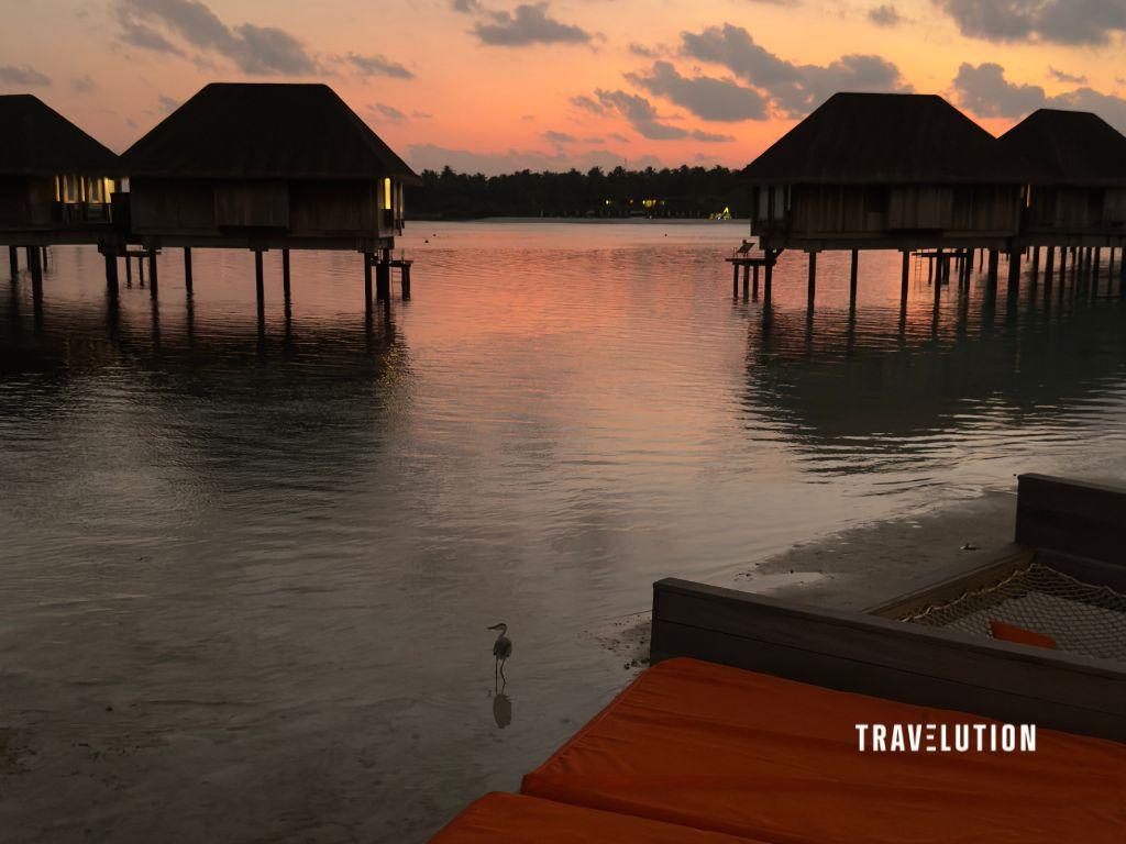 Club Med Travel Fair 2026: Best Time to Book Sun & Snow Resorts Club Med Travel Fair 2026 Deals - Stay 4 Nights at Club Med Kani and enjoy FREE speedboat transfers