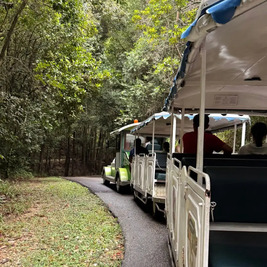 Club Med Cherating Renovation & Reopening 2027 Club Med Cherating Jungle Train