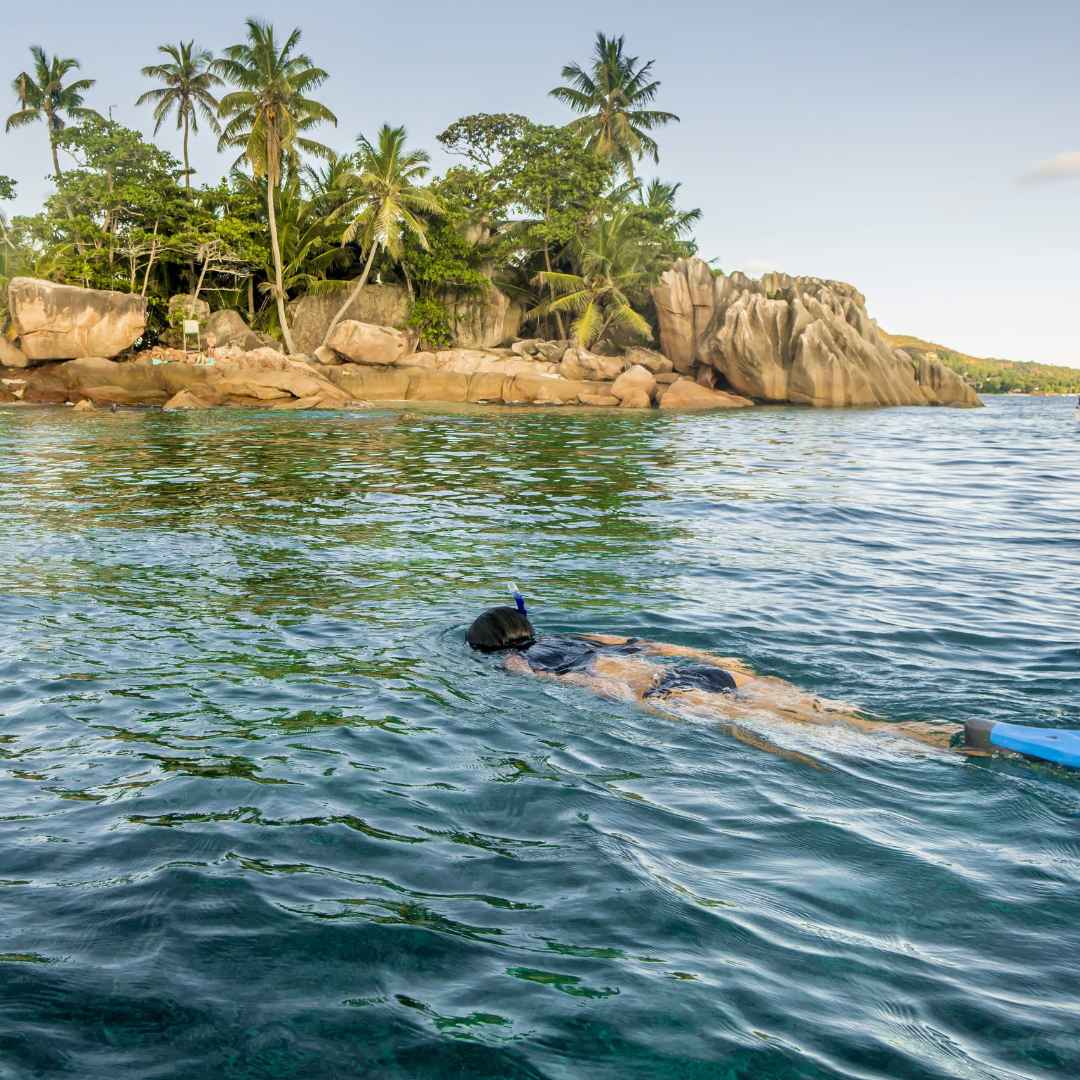 Club Med Seychelles Club Med Seychelles Snorkelling