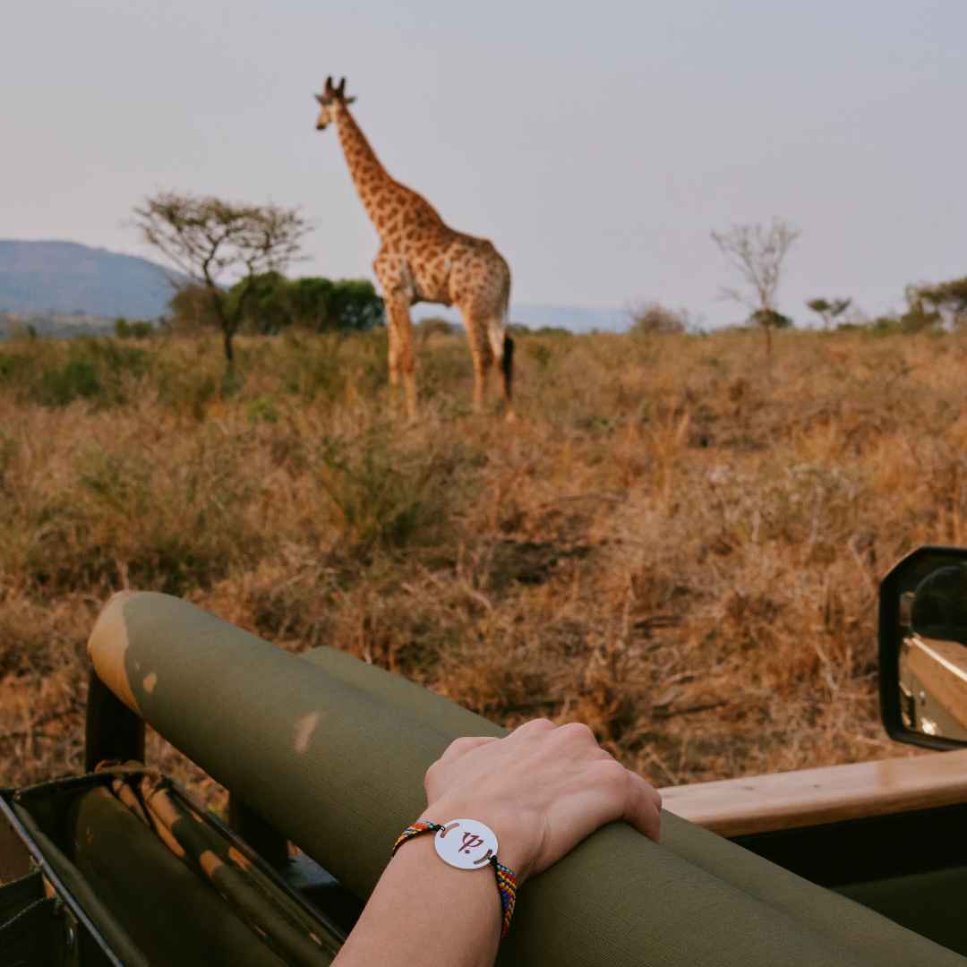 Club Med South Africa Vikela Safari Lodge