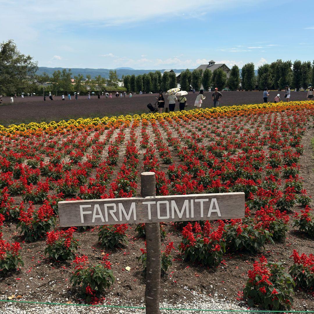 Club Med Tomamu Summer Farm Tomita
